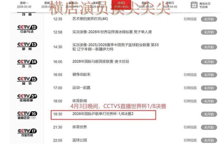 世界杯竞猜网站全面分析报告：稳定性评测+直播与实际体验总结 - 世界杯直播